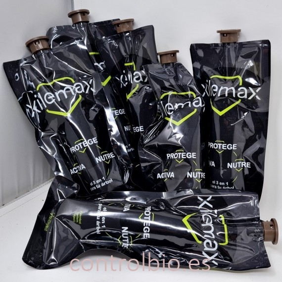 XILEMAX endoterapia contra enfermedades