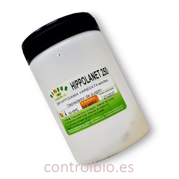 HIPPOLANET 250 Mariquita de Adonis