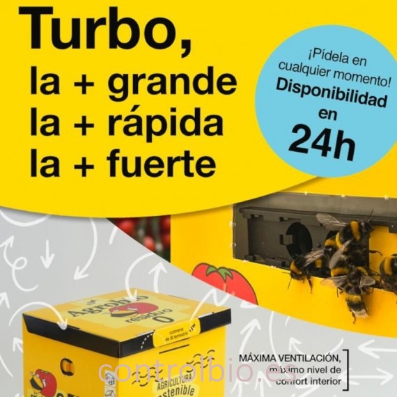 COLMENA TURBO especial verano