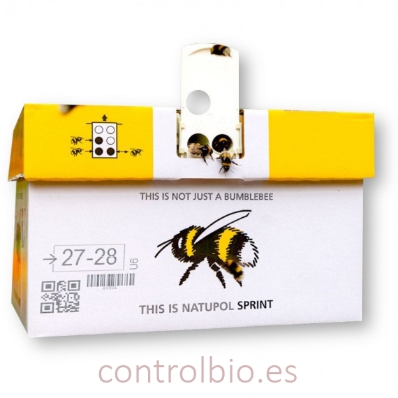 NATUPOL SPRINT polinizar cuando hace calor