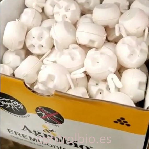 EREMIcontrol 15.000 ball dispensers contra mosca blanca