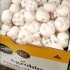 EREMIcontrol 15.000 ball dispensers contra mosca blanca