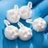 EREMIcontrol 15.000 ball dispensers contra mosca blanca