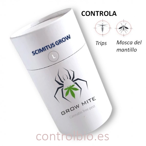 SCIMITUS GROW ácaro depredador de suelo