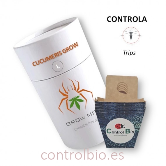 CUCUMERIS GROW depredador de trips