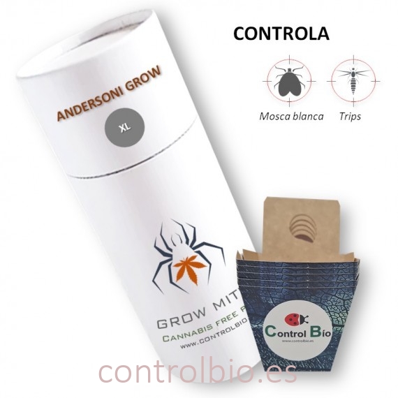 ANDERSONI GROW  depredador de araña roja y micro ácaro