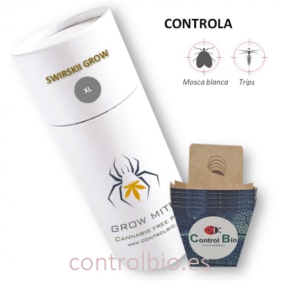 SWIRSKII GROW  depredador de trips y mosca blanca