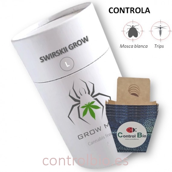 SWIRSKII GROW  depredador de trips y mosca blanca