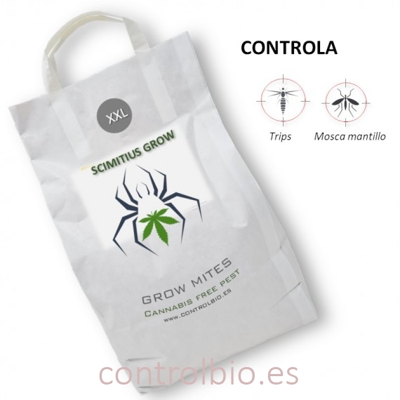 SCIMITUS GROW ácaro depredador de suelo