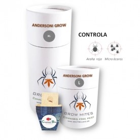 ANDERSONI GROW  depredador de araña roja y micro ácaro