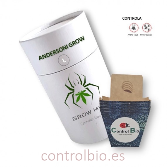 ANDERSONI GROW  depredador de araña roja y micro ácaro