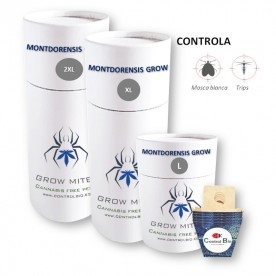 MONTDORENSIS GROW  depredador de mosca blanca y trips