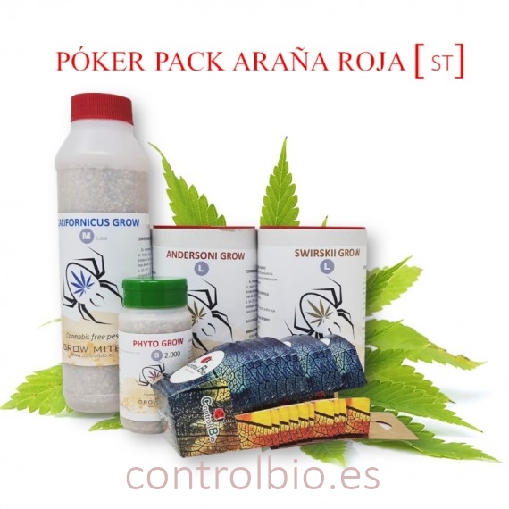 POKER PACK ARAÑA ROJA "All in"