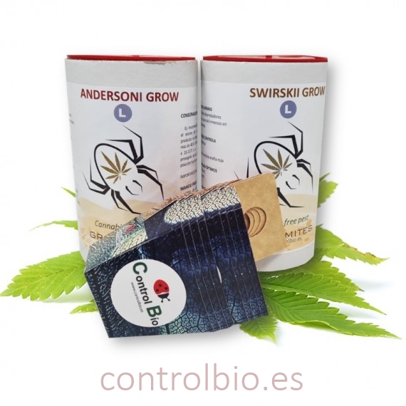 MIX GROW ARAÑA ROJA andersoni + swirskii (ver formatos)