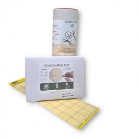 PACK GROW-XL MOSCA DEL MANTILLO poder curativo