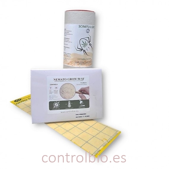 PACK GROW-XL MOSCA DEL MANTILLO poder curativo