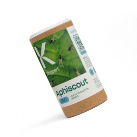 APHISCOUT 250 mix de parasitoides de pulgón