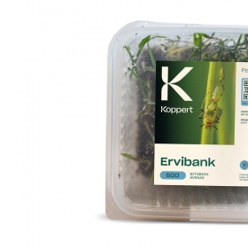 APHIBANK 500 Cereal con pulgon Rhopalosiphon padi