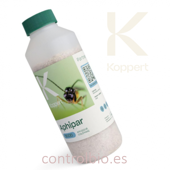 APHIPAR 1000 Aphidius colemani contra pulgones