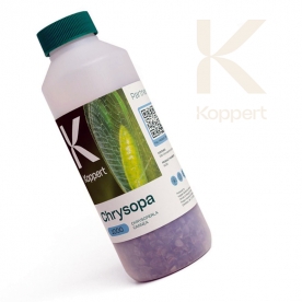 CHRYSOPA KOPPERT 1000 larvas de crisopa