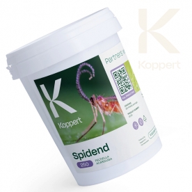 SPIDEND 250 Feltiella acarisuga larvas de mosquito depredador de araña roja