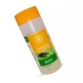 THRIPOR-M 1.000 Orius majusculus depredador generalista
