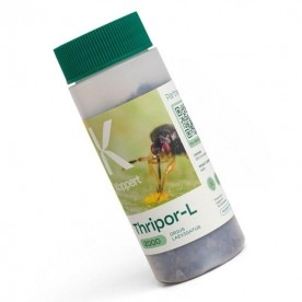 THRIPOR-L-2000 Orius laevigatus