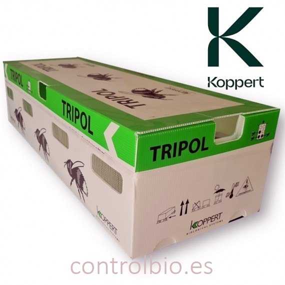 NATUPOL TRÍO estación polinizadora de koppert