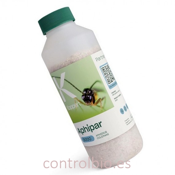 APHIPAR 5000 Aphidius colemani contra pulgón