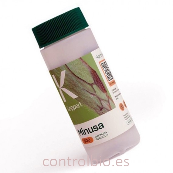 MINUSA 500 Dacnusa sibirica enemigo natural del minador
