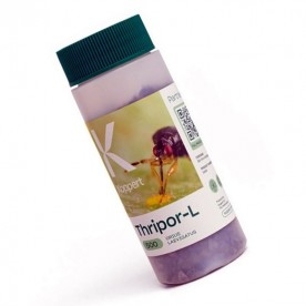 THRIPOR-L-500 Orius laevigatus