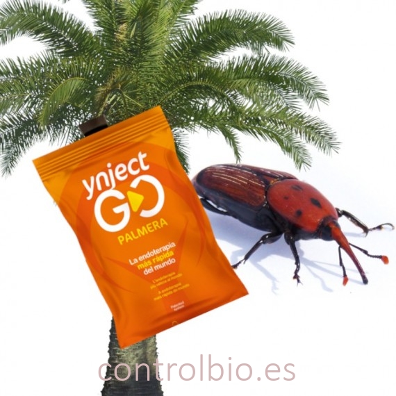YNJECT GO Picudo rojo