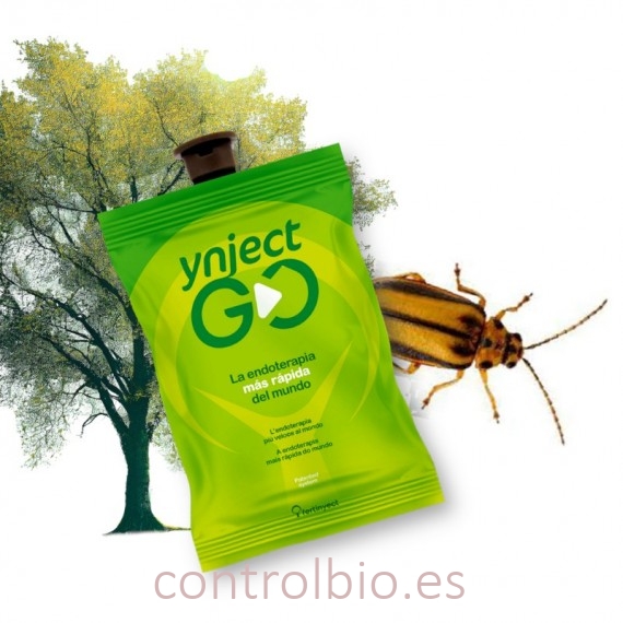 YNJECT GO Galeruca del olmo