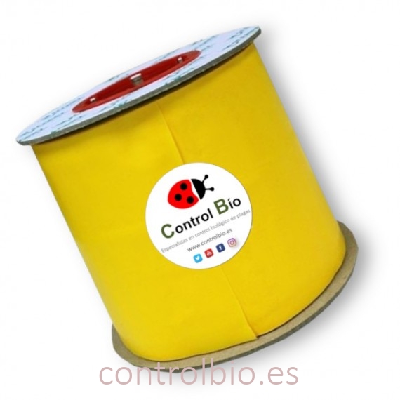 ROLLO AMARILLO 15 cm x 100 m
