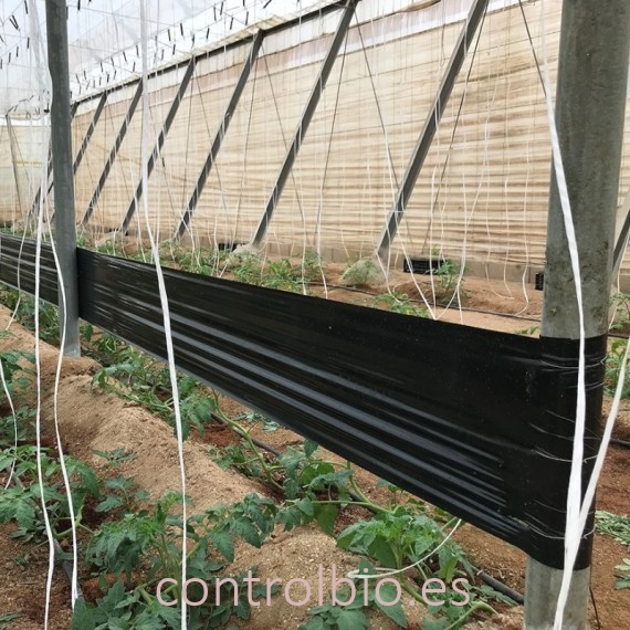 ROLLO NEGRO TUTA 15 cm X 100 m.