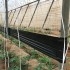 ROLLO NEGRO TUTA 15 cm X 100 m.