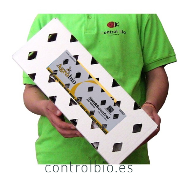 SWIRScontrol 500 sobres Amblyseius swirskii