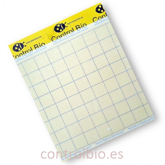 PLACA AMARILLA 20 x 25 cm  individual