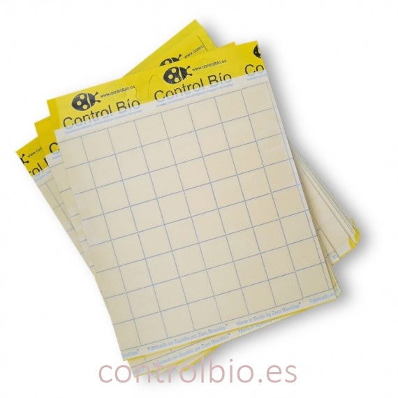 PLACA AMARILLA 20 x 25 cm  individual