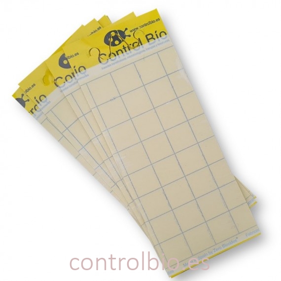 PLACA AMARILLA 10 x 25 cm individual (paquete de 50 Ud)