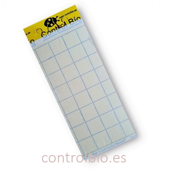 PLACA AMARILLA 10 x 25 cm individual