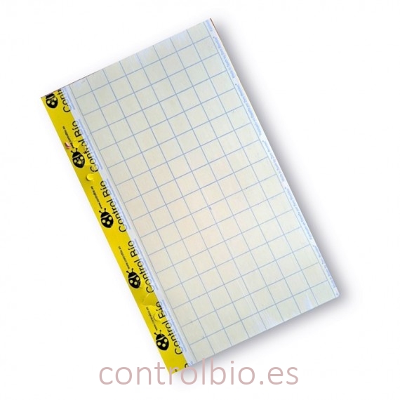 PLACA AMARILLA 40 x 25 cm individual