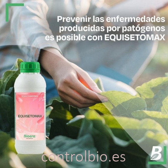 EQUISETOMAX cola de caballo 1L