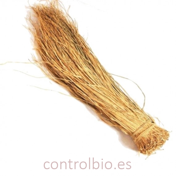 ESPARTO cocido picado (manojo)
