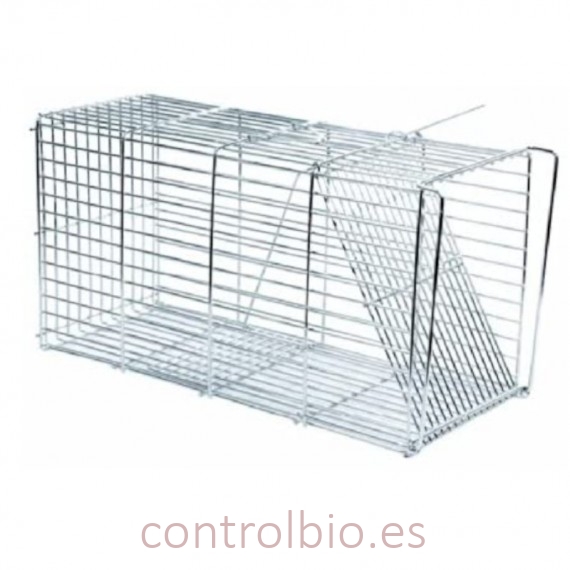 TRAMPA cincada para conejos
