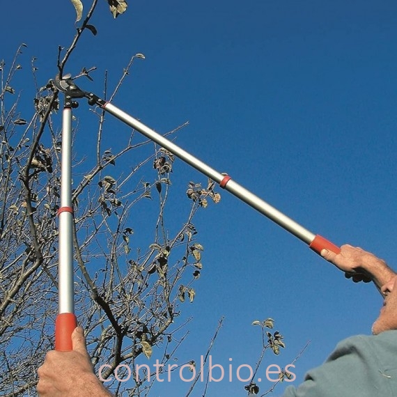 TIJERA poda dos manos Altuna 0345-63 telescópica
