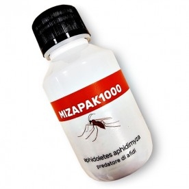 MIZAPAK1000 Aphidoletes aphidimyza depredador de pulgón