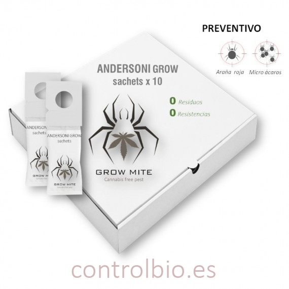 ANDERSONI GROW-BAGS preventivo araña roja y microácaro