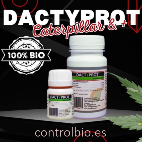 DACTYPROT 100 ml anti orugas