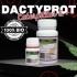 DACTYPROT 100 ml anti orugas